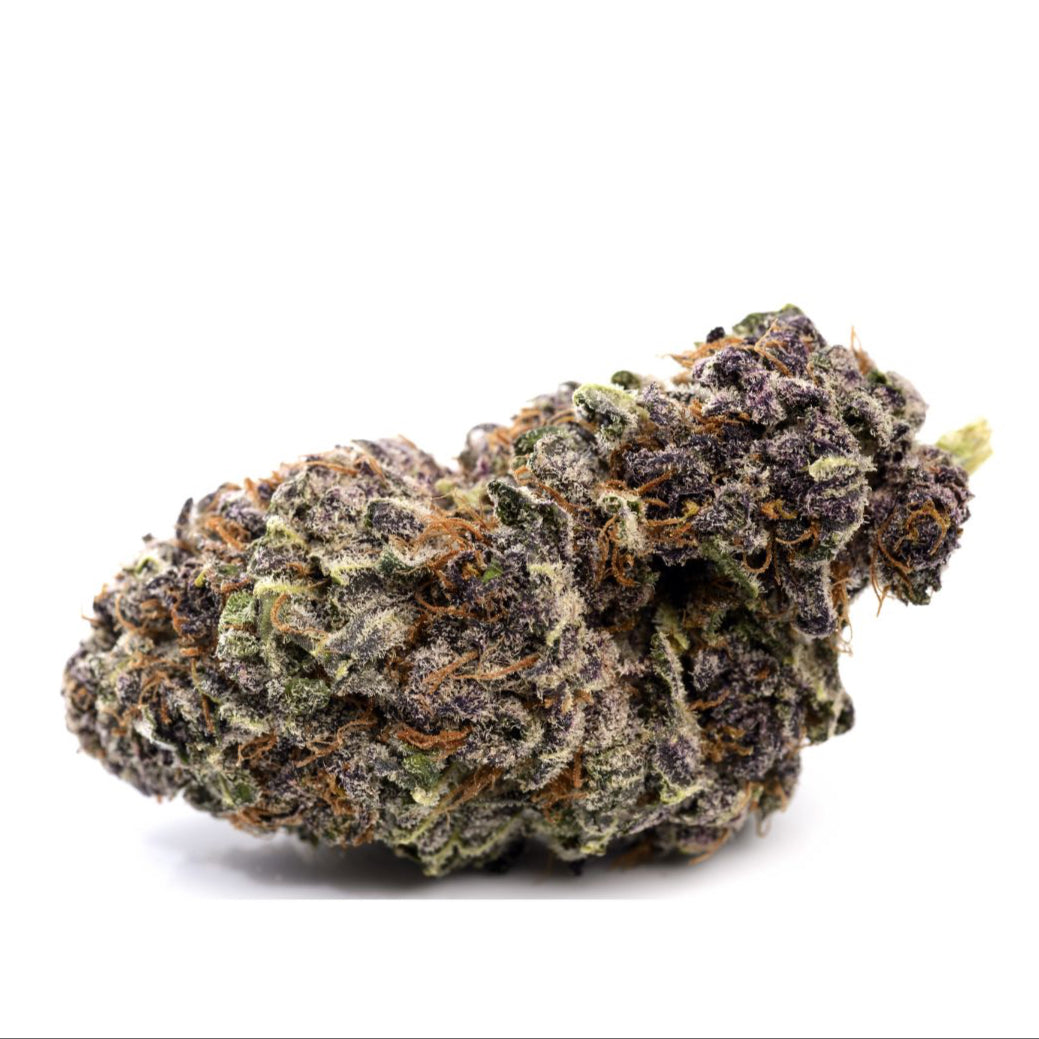 PURPLE BUDS'