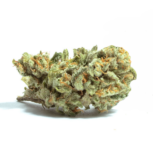 NOTHERN LIGHTS #5 Auto