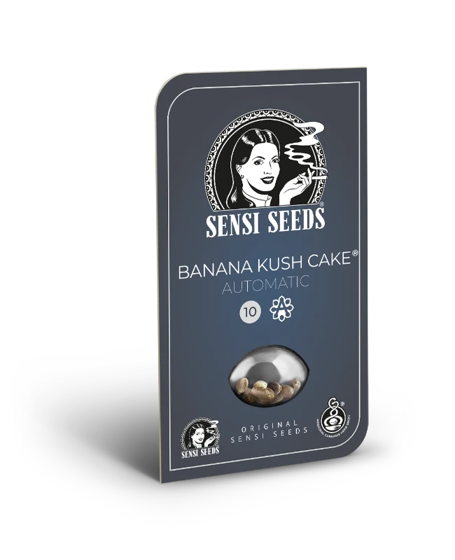 BANANA KUSH CAKE Auto