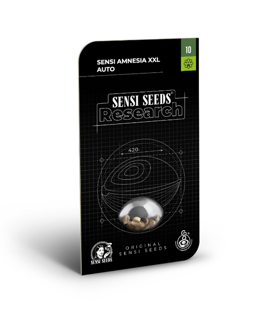 SENSI AMNESIA XXL Auto